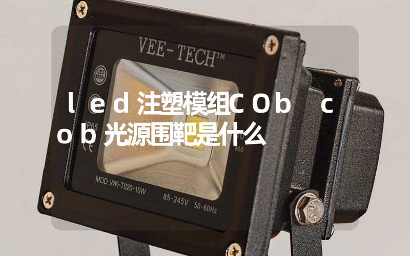 led注塑模组COb cob光源围靶是什么